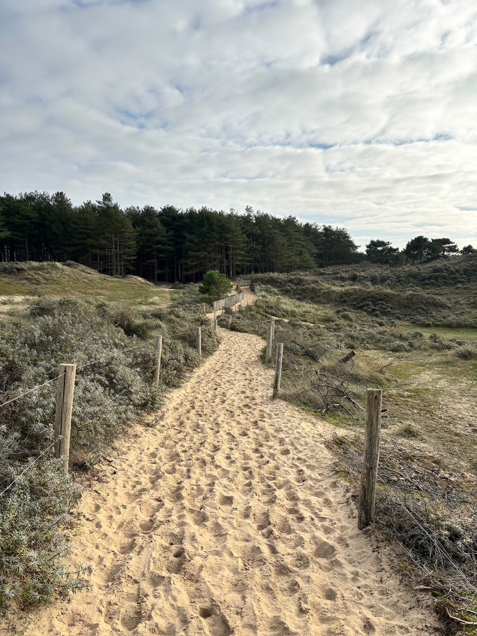 Sentiers dans les dunes de la Slack
